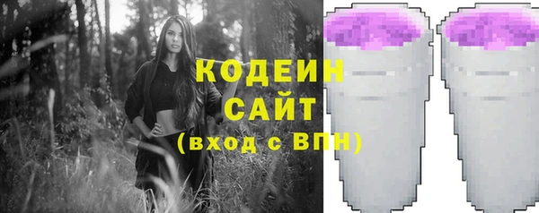 сатива Няндома