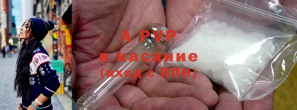 PSILOCYBIN Болотное