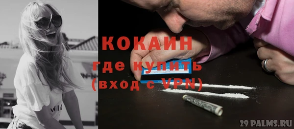 сатива Няндома