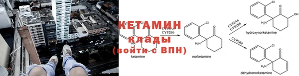 сатива Няндома