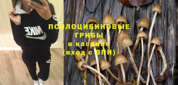 крисы Остров