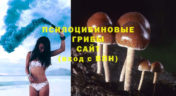 спиды Нязепетровск