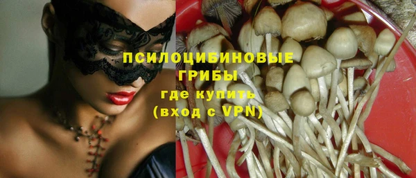 сатива Няндома