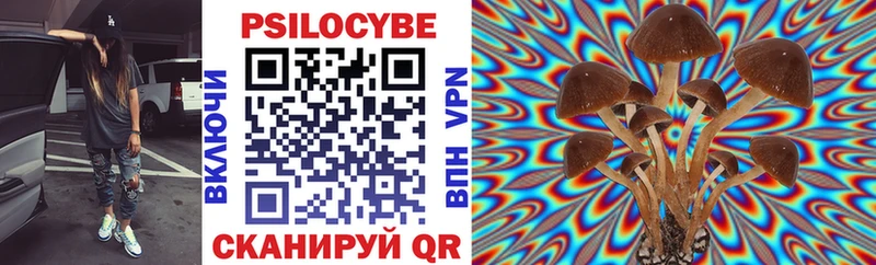 Псилоцибиновые грибы Psilocybe  Тарко-Сале 
