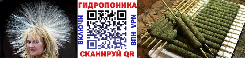 Шишки марихуана марихуана  как найти   Тарко-Сале 